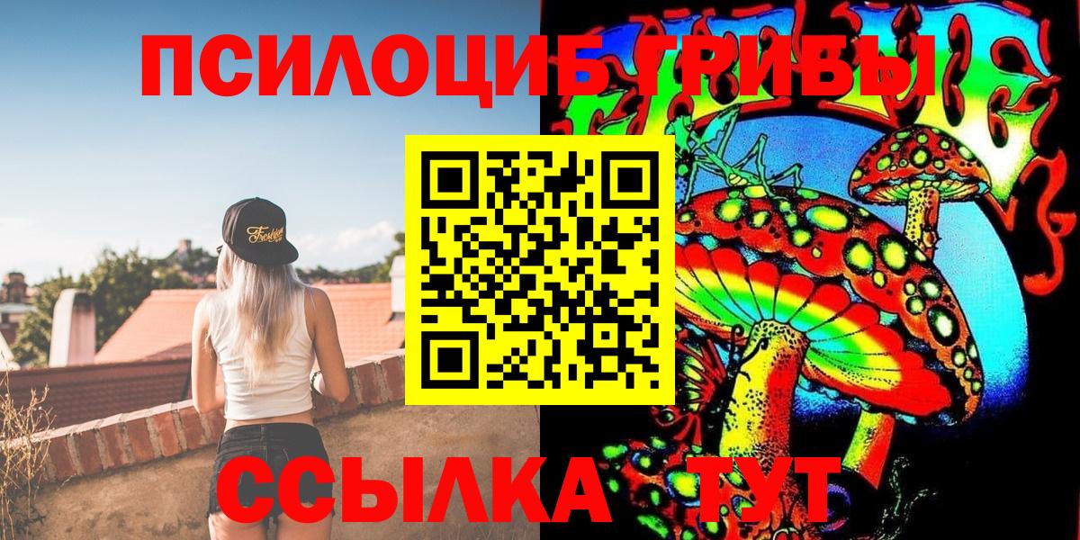 Псилоцибиновые грибы Psilocybe Алатырь