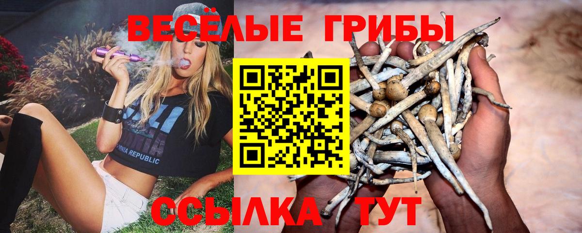 Алатырь  Галлюциногенные грибы MAGIC MUSHROOMS  Галлюциногенные грибы Psilocybine cubensis  Вход с VPN 
